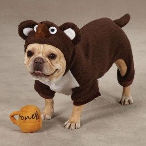  Zoey Lil Honey Bear Halloween Dog Costume Brown w/ FREE Honey Pot Toy