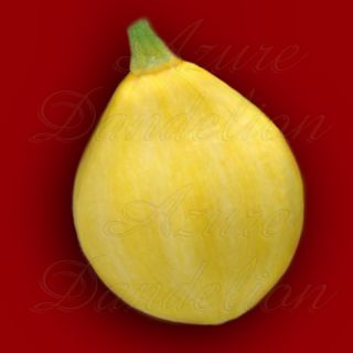 Heirloom Lemon Summer Squash Vegetable Seeds by AzureDandelion