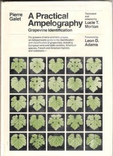 A Practical Ampelography Grapevine Identification