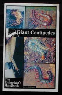 Giant Centipede New Book Care Breeding Scolopendra