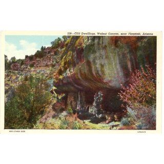 1930s Vintage Postcard Cliff Dwellings   Walnut Canyon
