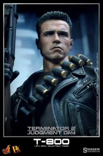 HOT TOYS 1 6 DX10 Terminator 2 Judgment Day DX T 800 Schwarzenegger HT