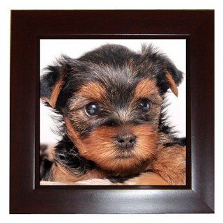 Yorkshire Terrier Puppy Dog 8 Framed Tile G0655