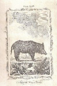 RARE 1785 Buffon Leather Maps Prints Animals Natural History Dozens of