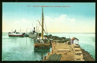 Shipping on Humboldt Bay Eureka Calif Vintage Postcard