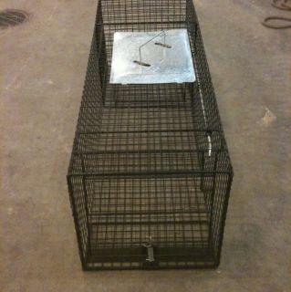 Humane Live Animal Trap for Cats Dogs Possum Racoon 14x14X42