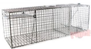   Animal Trap Skunk Racoon Cat 36 x12 x12 Cage trap Rabbit Pet Humane