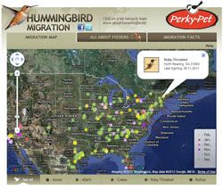  maps are available to help you track hummingbirds migration patterns
