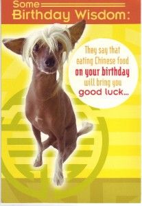 Hallmark Birthday Greeting Card Very Funny Dog Theme B7