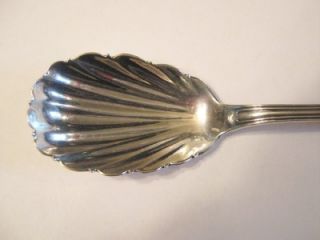 Antique F H Boston Farrington Hunnewell Coin Silver Fancy Sugar Spoon