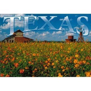 Texas Postcard Tx133 Texas Case Pack 750 
