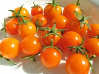 Sunsugar Hybrid Tomato 50 Seeds Pack