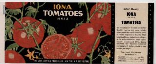 Iona Vintage Tomato Can Label Great Atlantic Co
