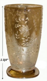  Depression Glass Crystal Floragold Scarce Ice Tea Tumbler