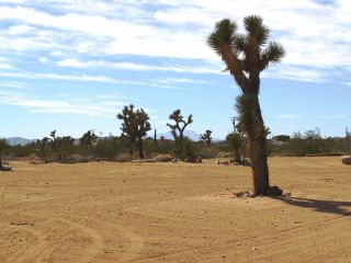 Yucca Valley California Home for Sale Owner Will Carry Great Cond