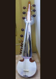 Traditional Indian Lute with introductory CD + tuning & stringing