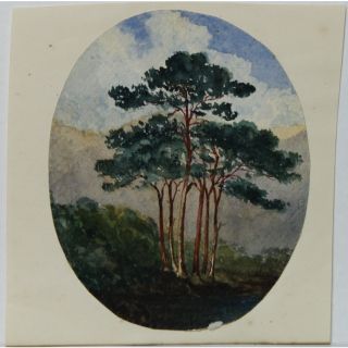 Morgan Antique Trees Watercolour Painting