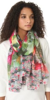 Women's Cashmere Scarves & Wraps