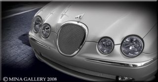 Jaguar S Type Mesh grille insert for the 2000 04 S Type Models. Also