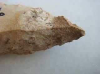 Arrowhead Fox Field Kentucky Found Authentic Artifact
