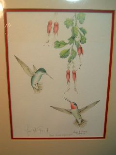 James P Townsend Signed Hummingbird Print 47226