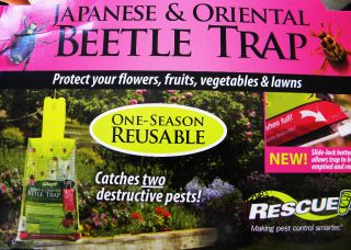 Japanese Oriental Beetle Trap Protect Your Plants