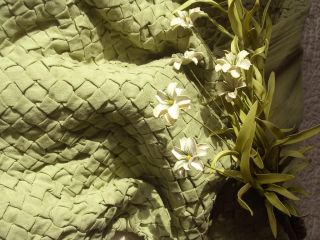  Soft Surroundings Green Cotton Linen Jardin Gauze 2 Euro Sham