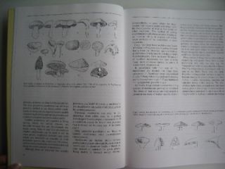 Mushrooms Toadstools An Illustrated Guide Jiri Baier