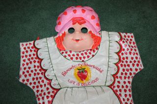1980 Strawberry Shortcake Ben Cooper Halloween Costume in Box RARE