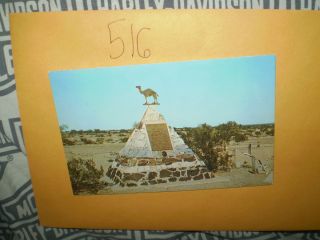 Hi Jolly's Hadji Ali Tomb Quartzsite AZ Postcard enV 516  