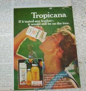 1980 Tropicana Florida OJ Orange Juice Fruit Print Ad  