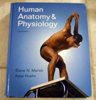 Human Anatomy and Physiology by Elaine Nicpon Marieb and Katja N Hoehn