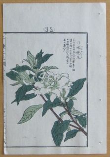 Kono Bairei Japanese Woodblock Flower Print I313 1900