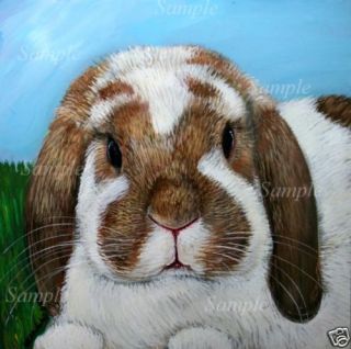 Giclee of Painting Brown White Bunny Kristine Kasheta Pet Art