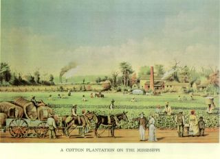 Old Print Cotton Plantation Mississippi River Mule Cart