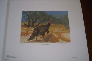 1983 NWTF Turkey Print w Stamp by Lee LeBlanc 16