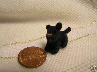 World of Miniature Bears Toto 3 4Mini Dog Black Tiniest