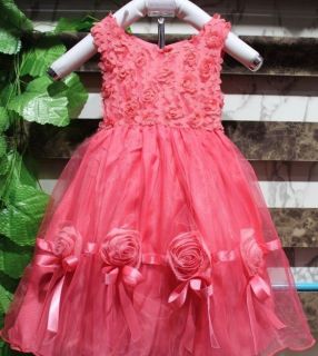 Little Girls Boutique Ruffled Princess Party Dress Free Shipping