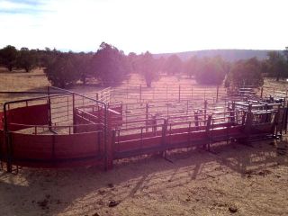 Cattle Working Corral System with Squeeze Chute Panels Gates