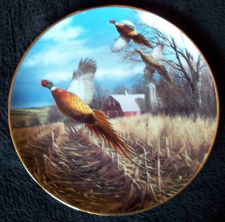 Late Autumn David Maass Pheasant Plate Danbury Mint