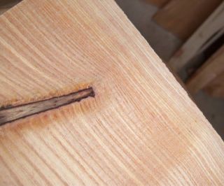 11x3 Honey Locust Carving Turning Stock Bowl Wood Blank