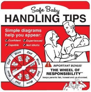 Safe Baby Handling Tips by David Sopp and Kelly Sopp 2005, Paperback