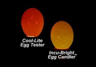 Incu Bright Cool Light Egg Candler  Bright and Compact