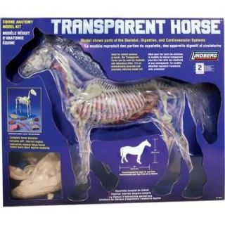 Lindberg 14 Scale Transparent Horse Model Kit