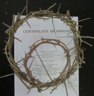 Lifesize Crown of Thorns from Jerusalem 20cm 8