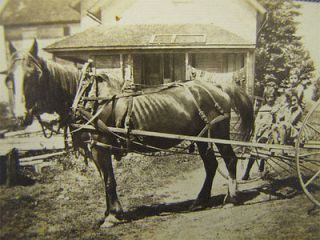 Antique Photo of Children Sitting on Horse Drawn Plow