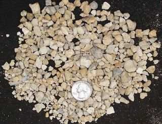crushed coral Aragonite gravel live sand refugium aquarium substrate
