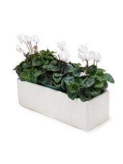 13 x 5 White Ceramic Large Slim Long Planter Box Flower Pot
