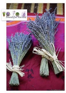 dried lavender bunch