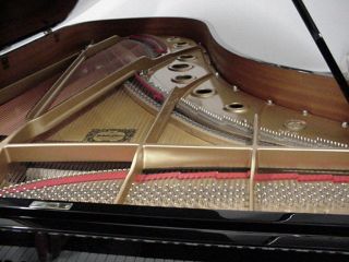 model c in Piano & Organ